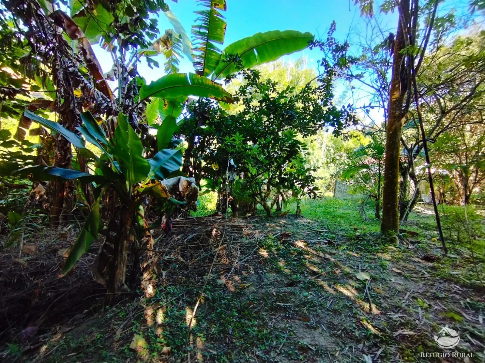 Sítio à venda de 12 ha em São José dos Campos, SP, Brasil