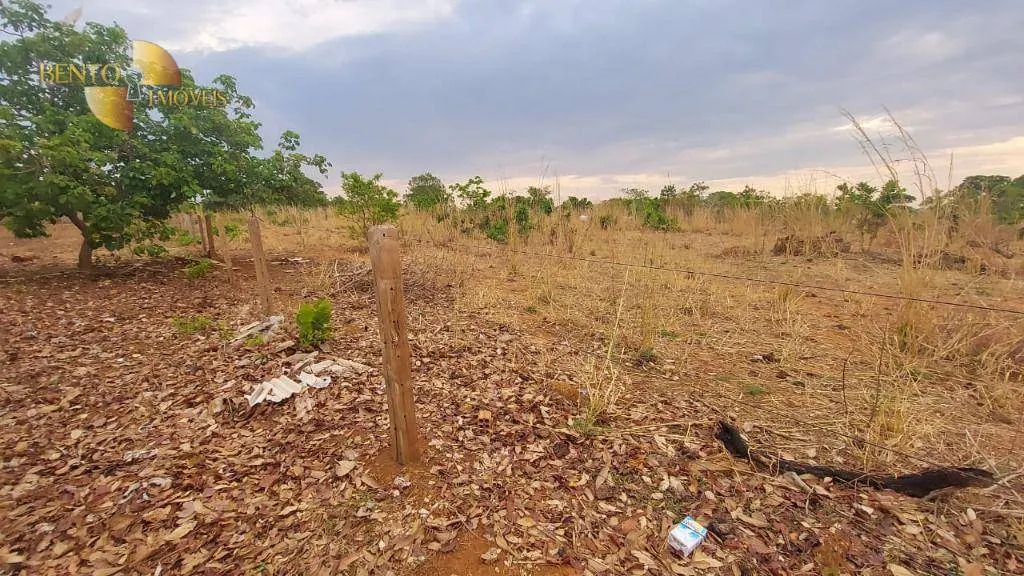 Fazenda à venda de 985 ha em Paranatinga, MT, Brasil