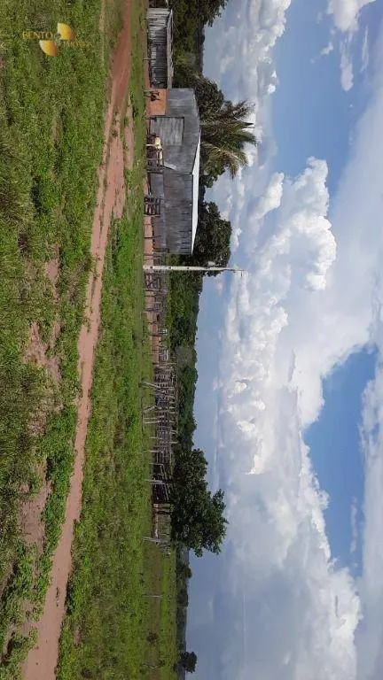 Fazenda à venda de 985 ha em Paranatinga, MT, Brasil