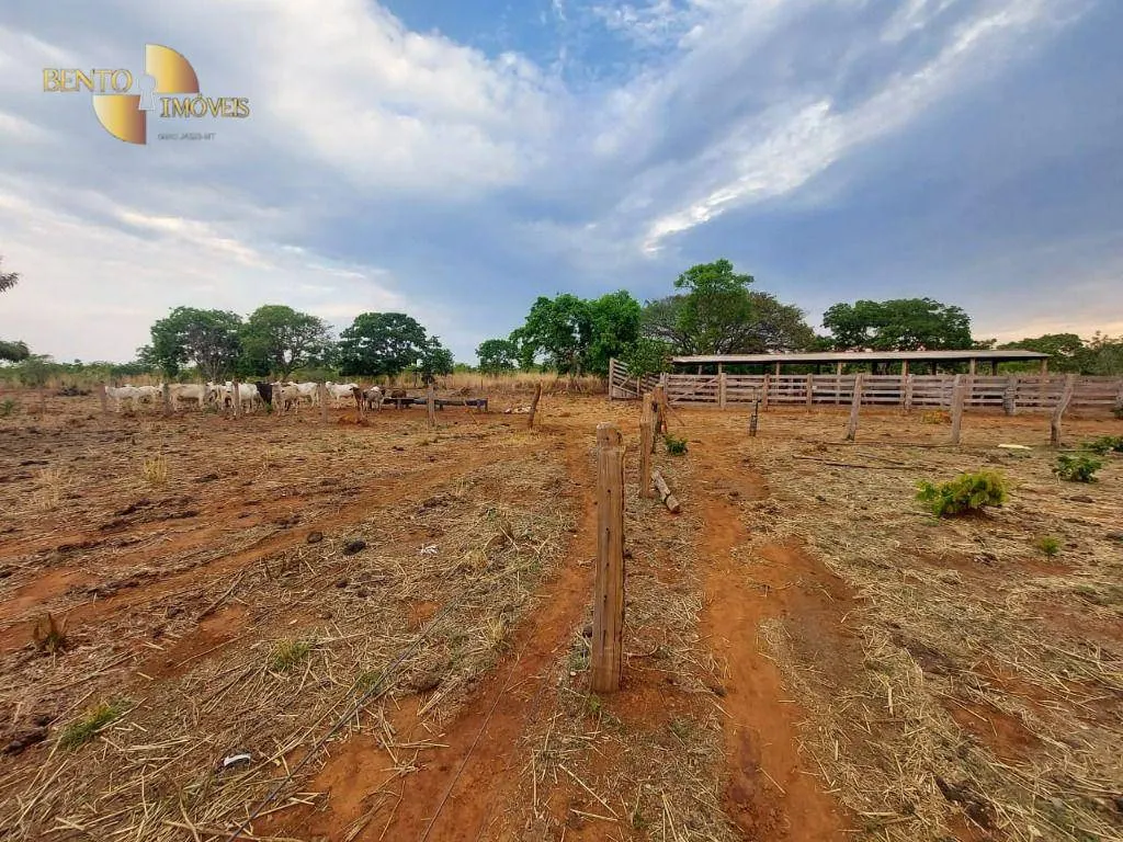 Fazenda à venda de 985 ha em Paranatinga, MT, Brasil