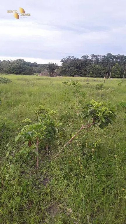 Fazenda à venda de 985 ha em Paranatinga, MT, Brasil