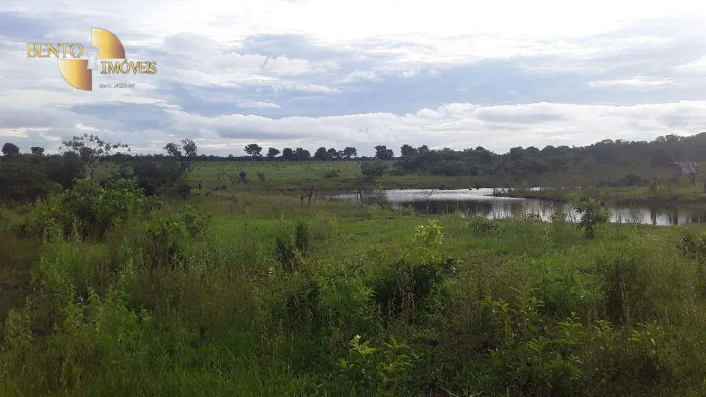 Fazenda à venda de 985 ha em Paranatinga, MT, Brasil