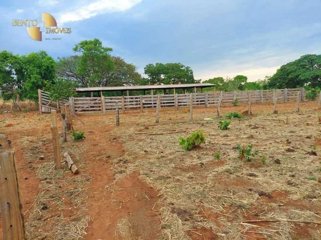 Fazenda à venda de 985 ha em Paranatinga, MT, Brasil