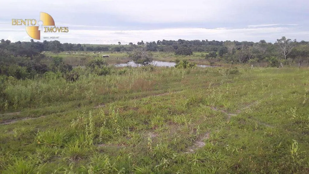 Fazenda à venda de 985 ha em Paranatinga, MT, Brasil