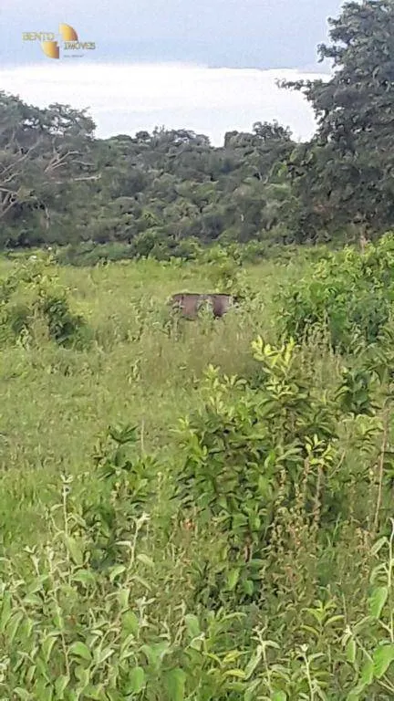 Fazenda à venda de 985 ha em Paranatinga, MT, Brasil