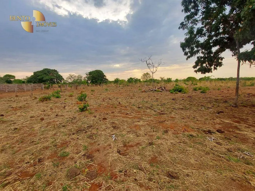 Fazenda à venda de 985 ha em Paranatinga, MT, Brasil