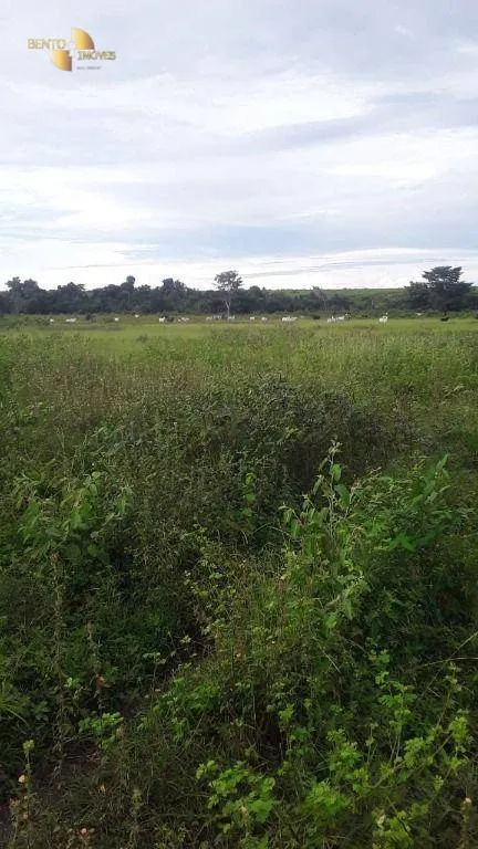Fazenda à venda de 985 ha em Paranatinga, MT, Brasil