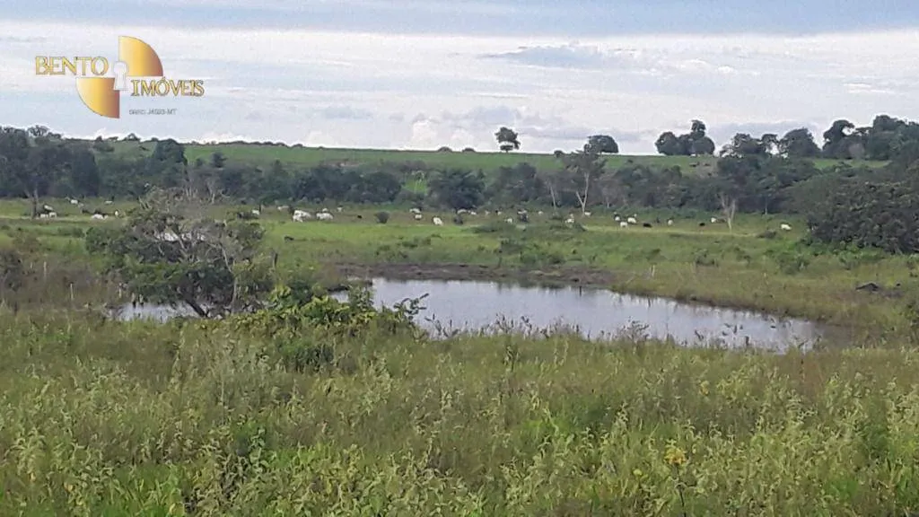 Fazenda à venda de 985 ha em Paranatinga, MT, Brasil