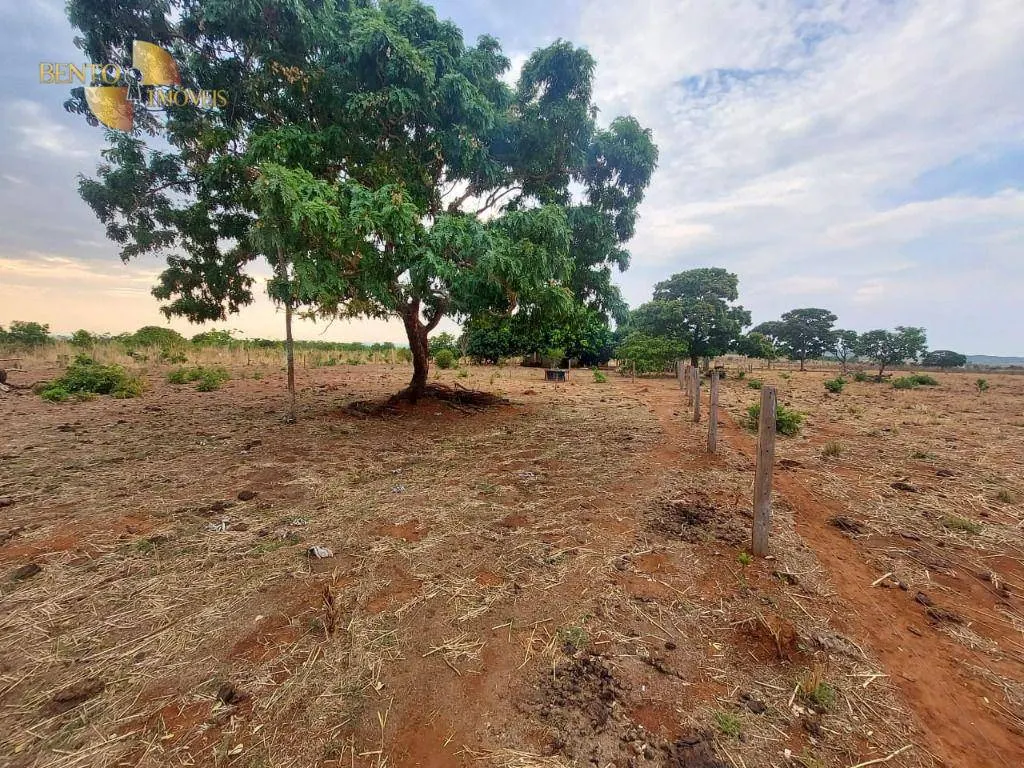 Fazenda à venda de 985 ha em Paranatinga, MT, Brasil