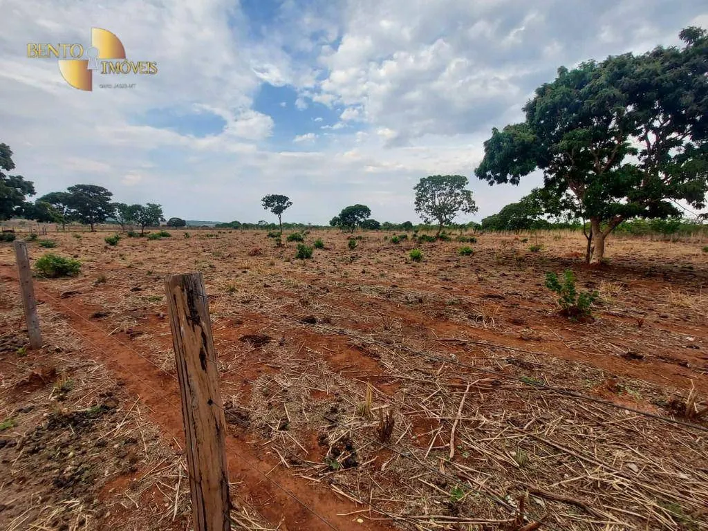 Fazenda à venda de 985 ha em Paranatinga, MT, Brasil