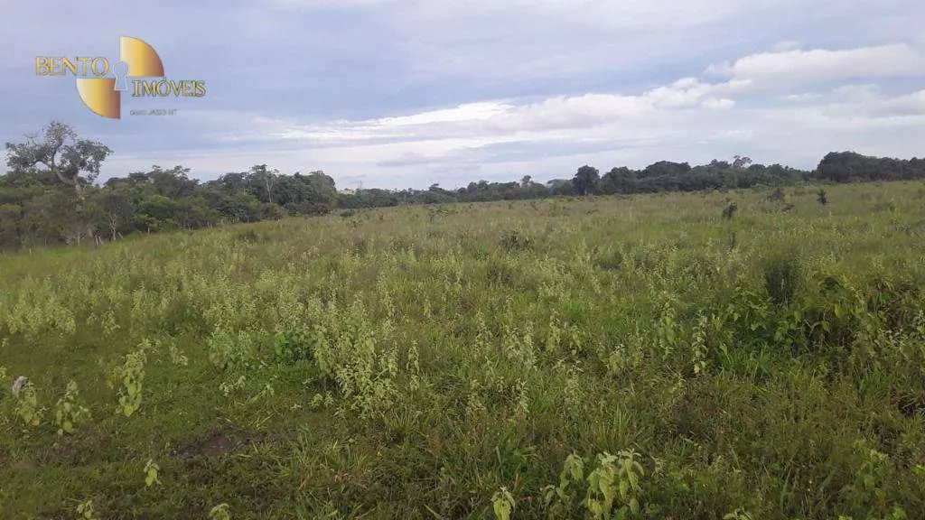 Fazenda à venda de 985 ha em Paranatinga, MT, Brasil