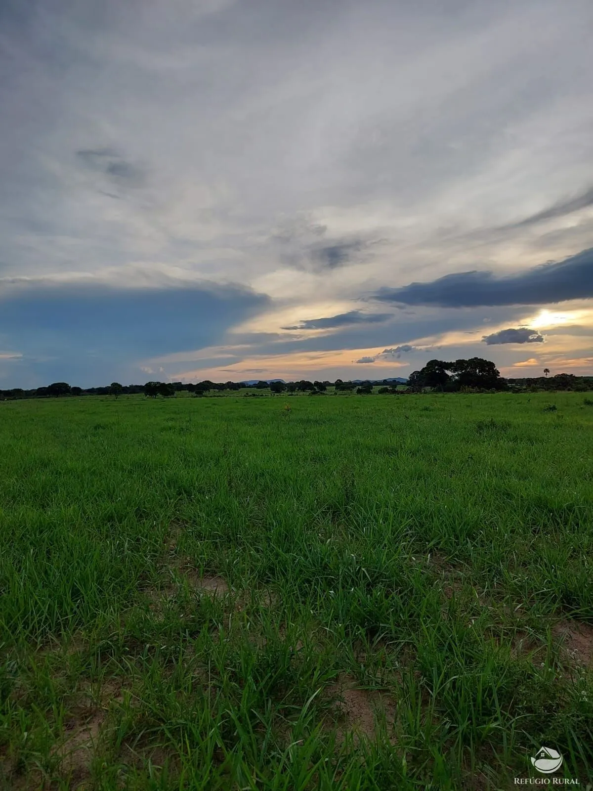 Fazenda à venda de 4.840 ha em Sandolândia, TO, Brasil