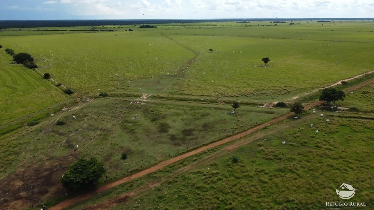 Fazenda à venda de 4.840 ha em Sandolândia, TO, Brasil