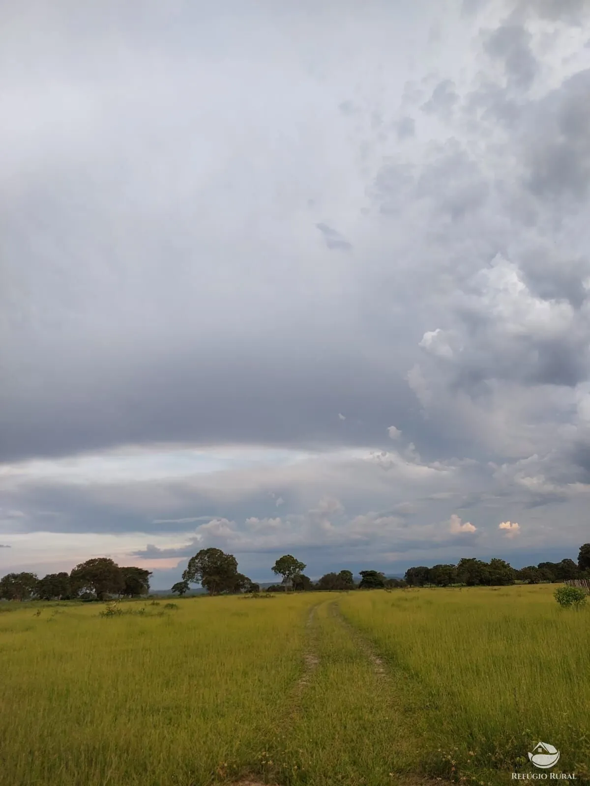 Fazenda à venda de 4.840 ha em Sandolândia, TO, Brasil