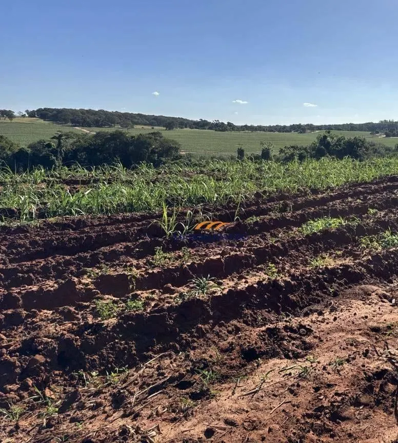 Fazenda à venda de 605 ha em Ibaté, SP, Brasil