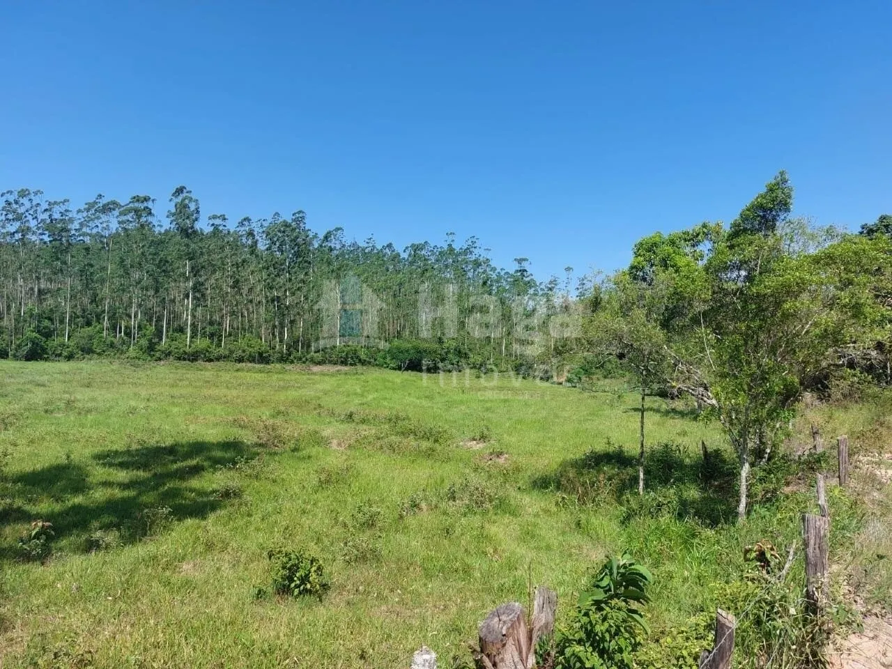 Chácara à venda de 22 ha em Canelinha, SC, Brasil