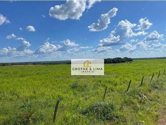 Fazenda à venda de 1.152 ha em Pedro Afonso, TO, Brasil