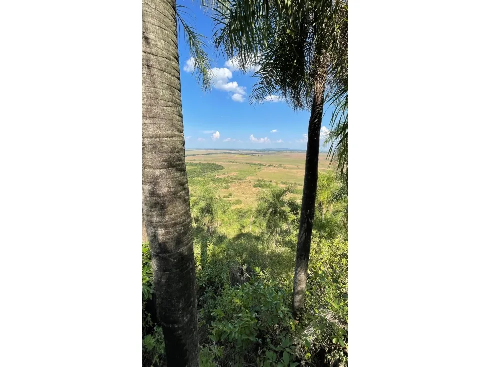 Fazenda à venda de 50 ha em Caapucú, Paraguai