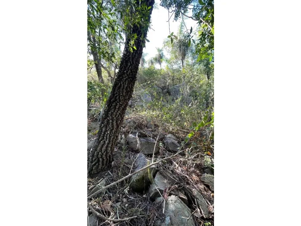 Fazenda à venda de 50 ha em Caapucú, Paraguai