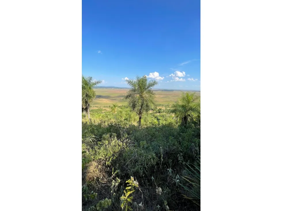 Fazenda à venda de 50 ha em Caapucú, Paraguai