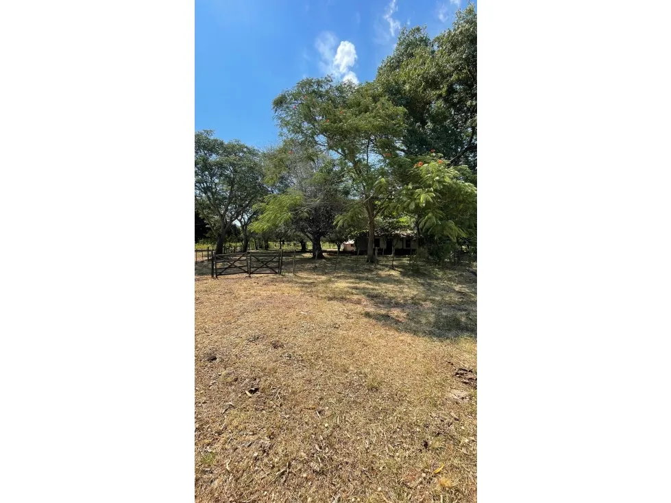 Fazenda à venda de 50 ha em Caapucú, Paraguai