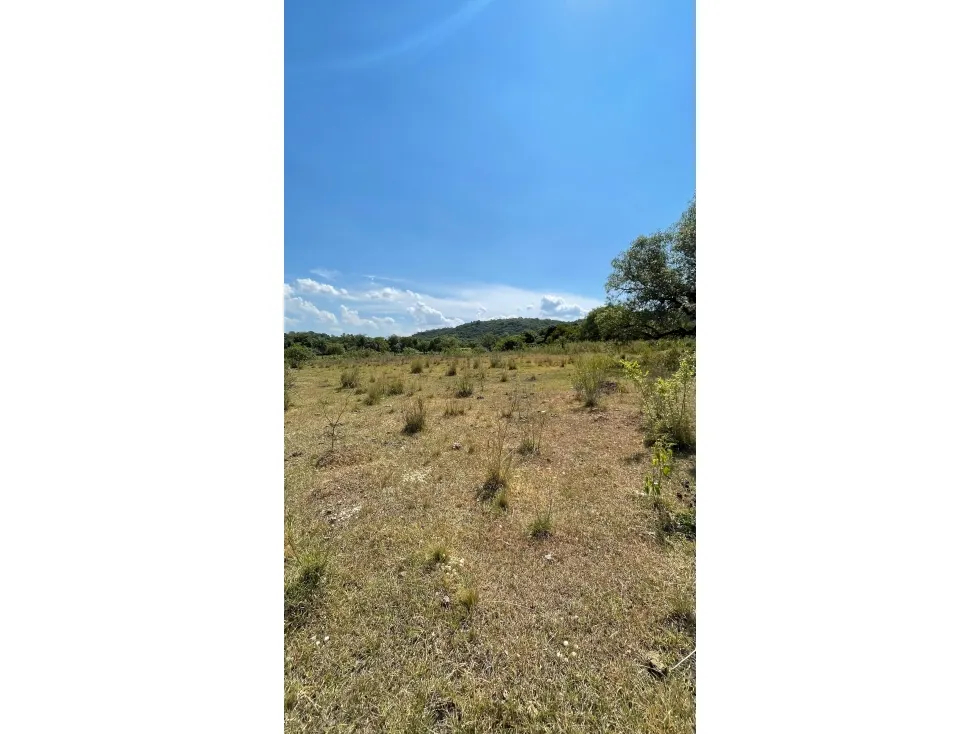Fazenda à venda de 50 ha em Caapucú, Paraguai