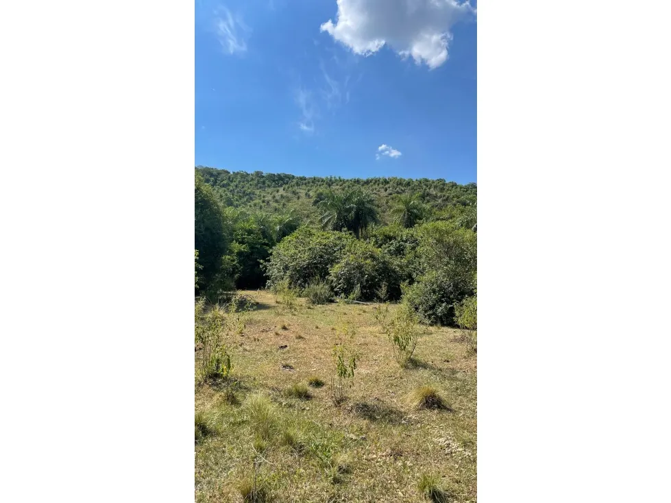 Fazenda à venda de 50 ha em Caapucú, Paraguai