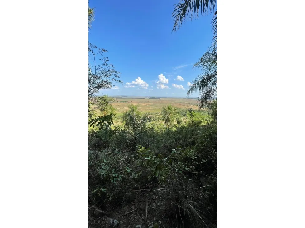 Fazenda à venda de 50 ha em Caapucú, Paraguai