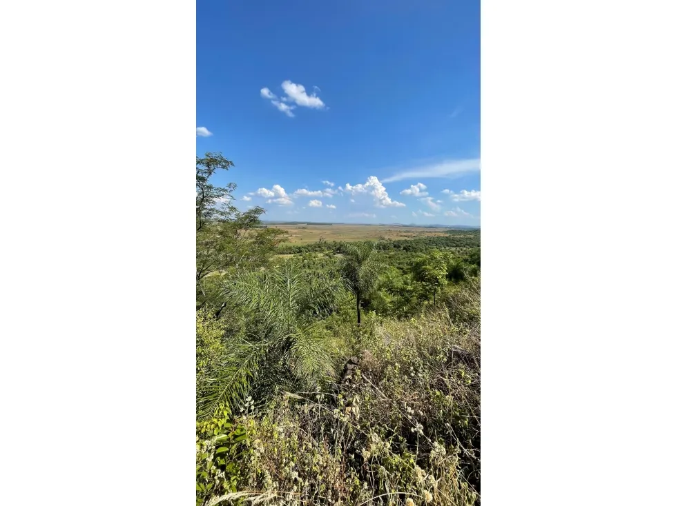 Fazenda à venda de 50 ha em Caapucú, Paraguai