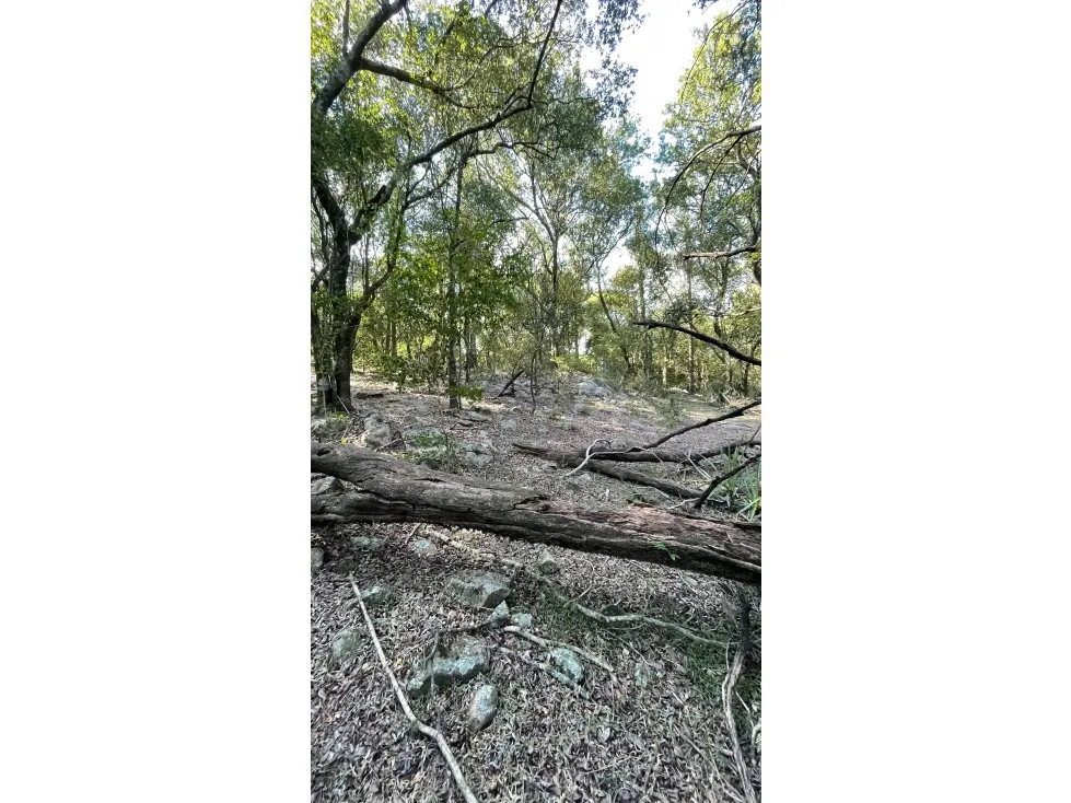 Fazenda à venda de 50 ha em Caapucú, Paraguai