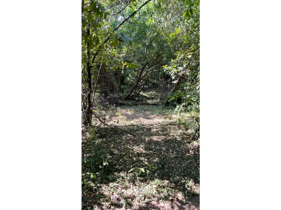 Fazenda à venda de 50 ha em Caapucú, Paraguai