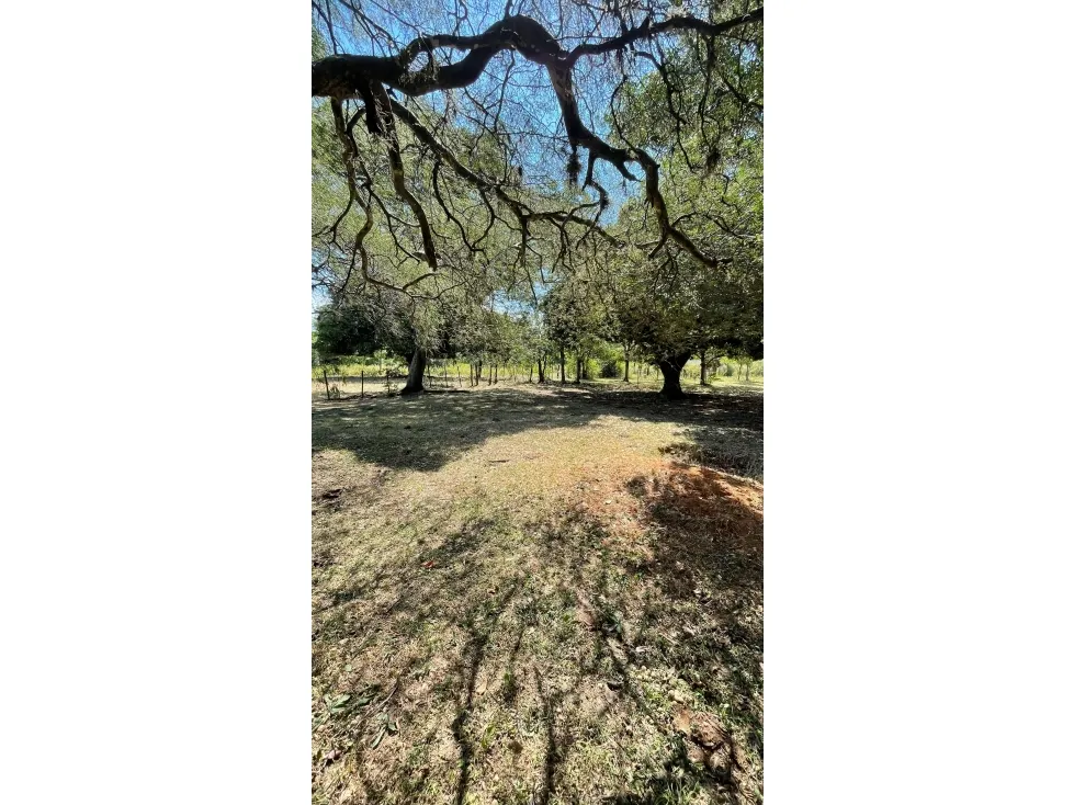 Fazenda à venda de 50 ha em Caapucú, Paraguai
