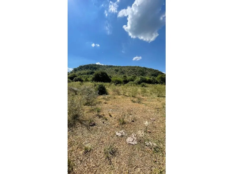 Fazenda à venda de 50 ha em Caapucú, Paraguai