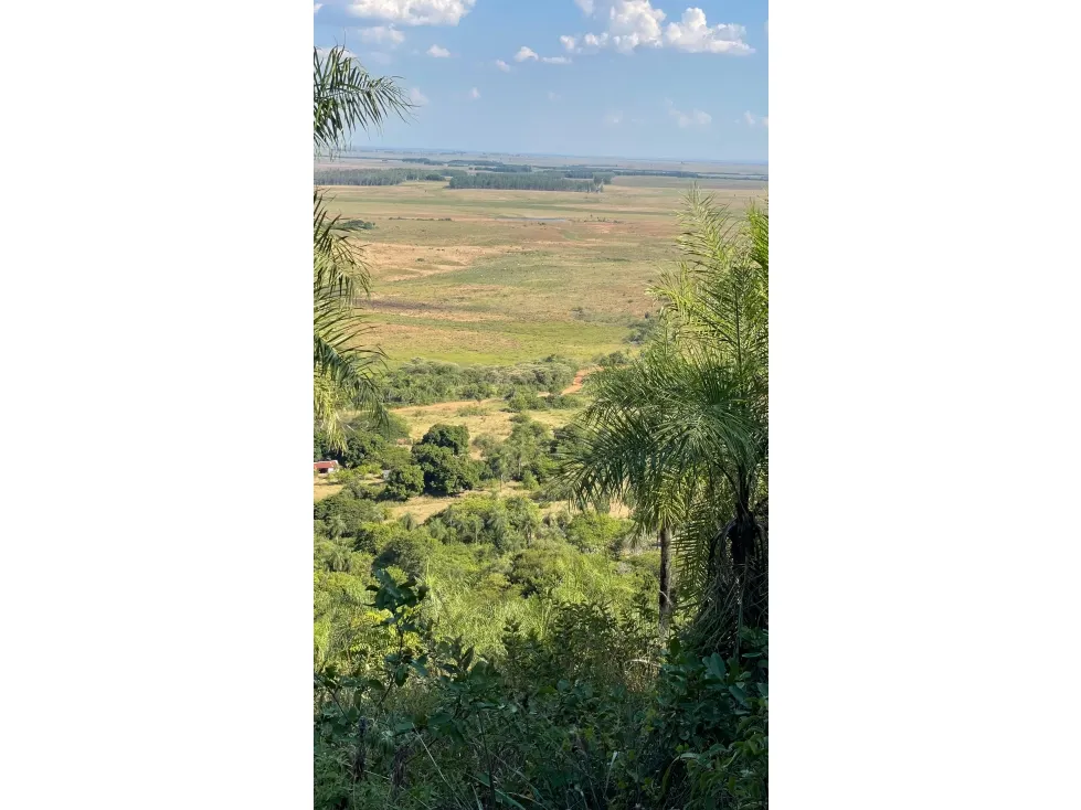 Fazenda à venda de 50 ha em Caapucú, Paraguai