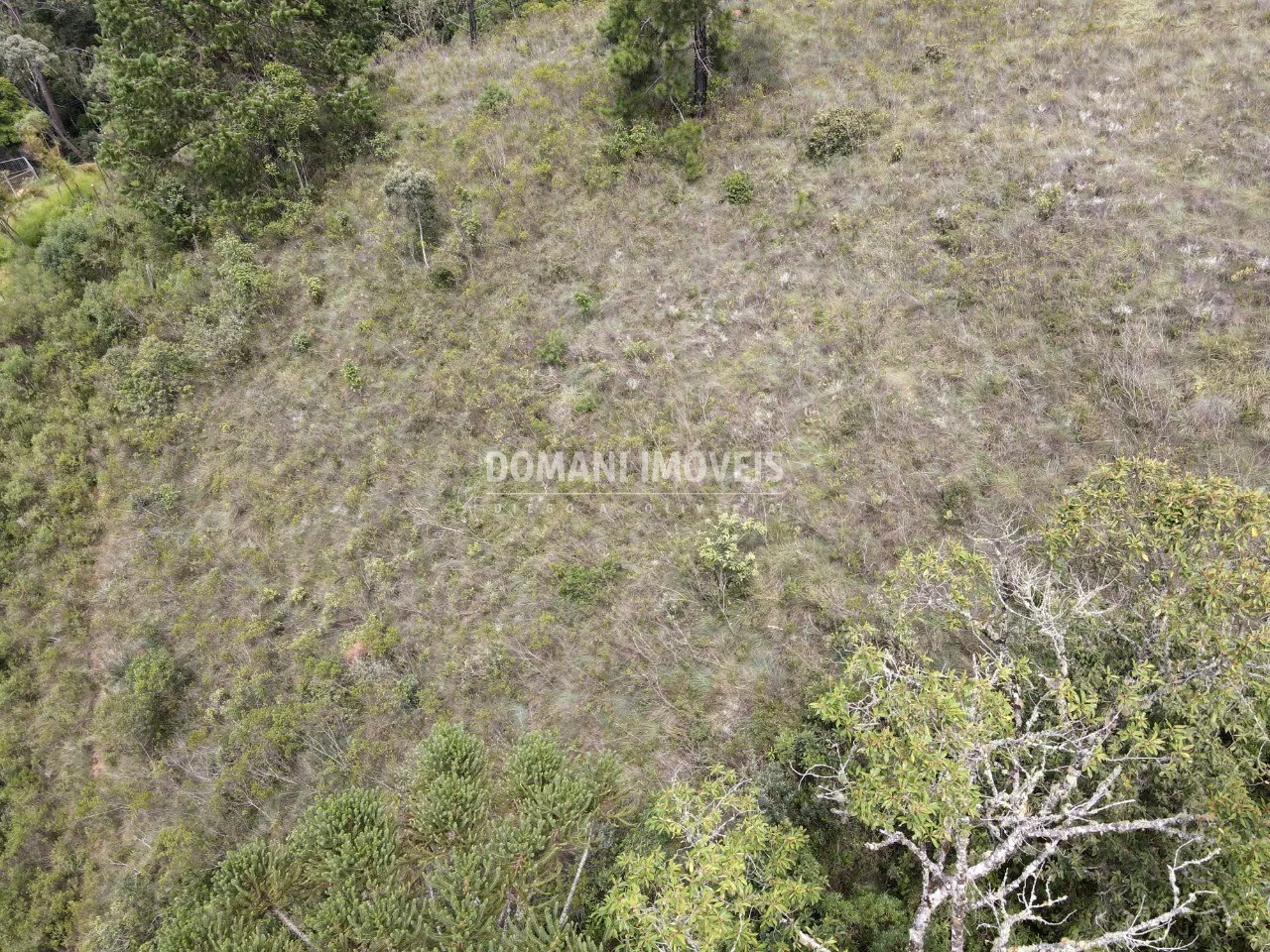 Plot for sale of 1,980 m² in Campos do Jordão, SP, Brazil