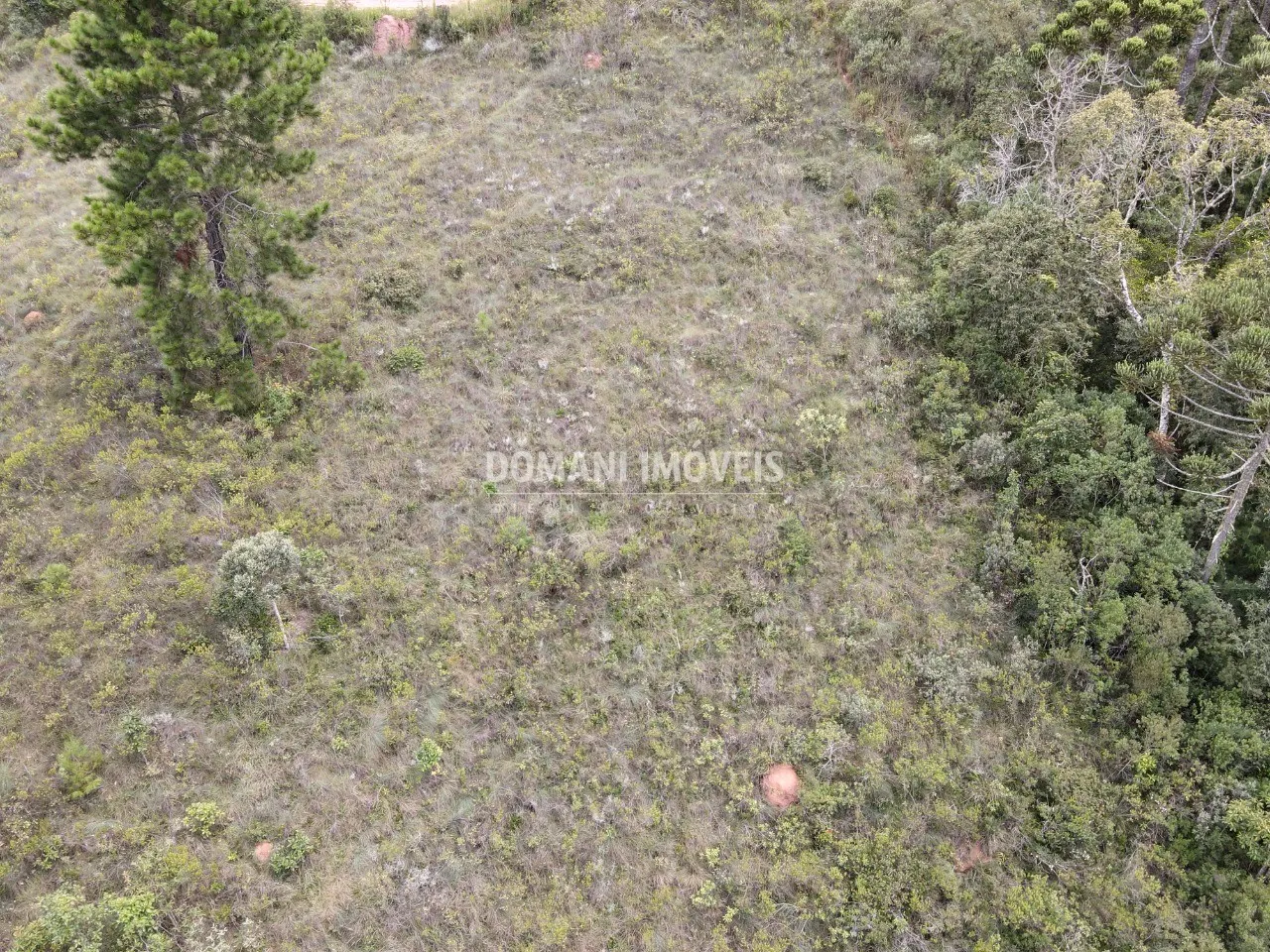 Plot for sale of 1,980 m² in Campos do Jordão, SP, Brazil