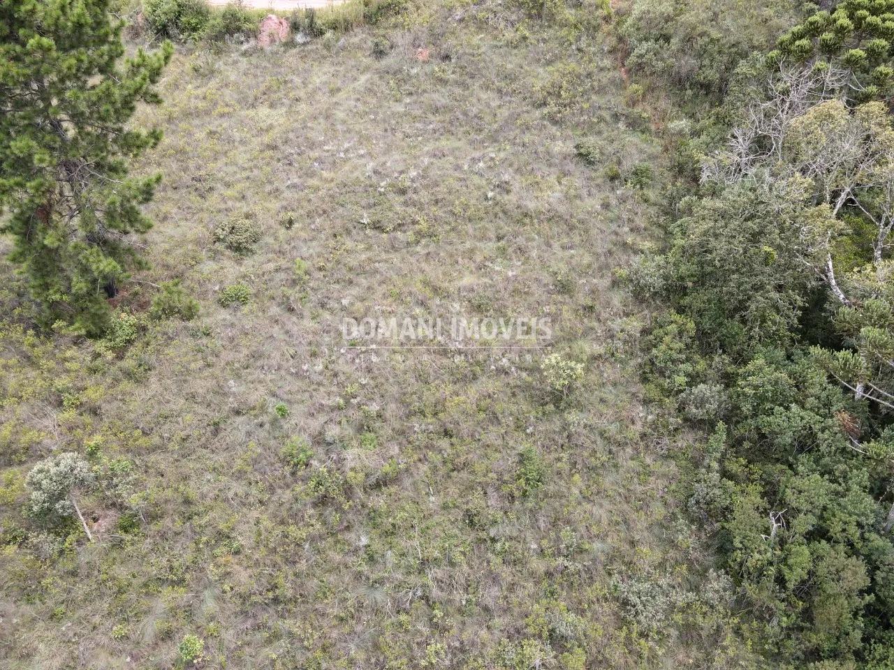 Plot for sale of 1,980 m² in Campos do Jordão, SP, Brazil