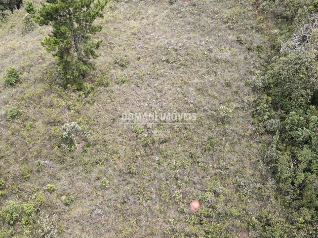 Plot for sale of 1,980 m² in Campos do Jordão, SP, Brazil