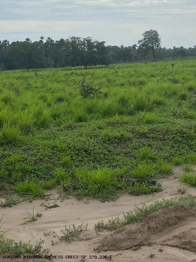 Small farm for sale of 11,290 acres in Codó, MA, Brazil