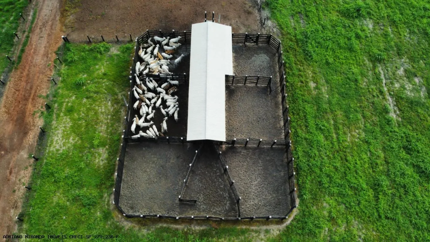 Small farm for sale of 11,290 acres in Codó, MA, Brazil