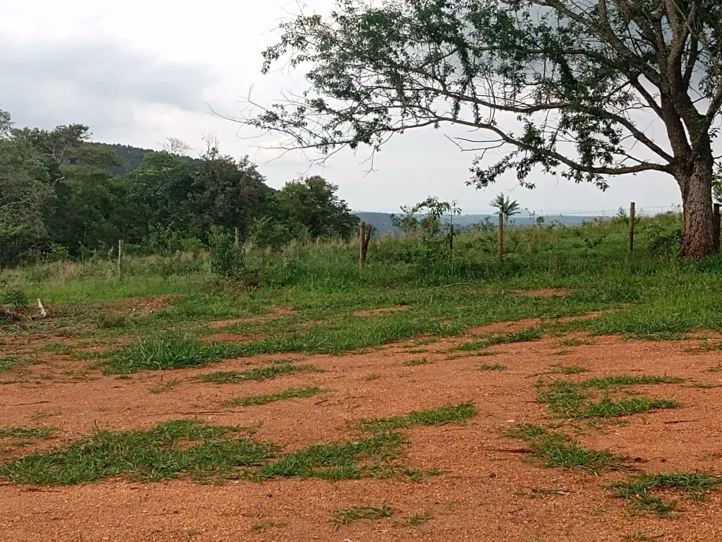 Fazenda à venda de 29 ha em Angatuba, SP, Brasil