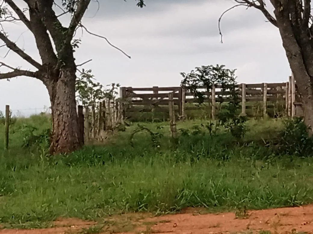 Fazenda à venda de 29 ha em Angatuba, SP, Brasil