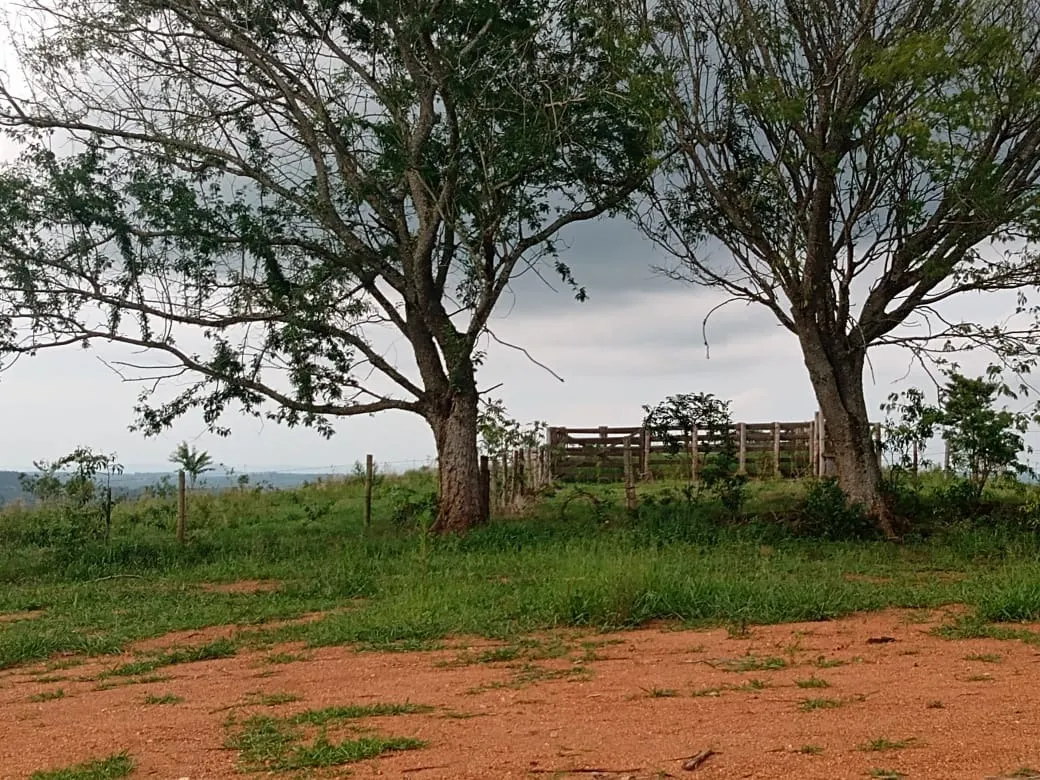 Fazenda à venda de 29 ha em Angatuba, SP, Brasil