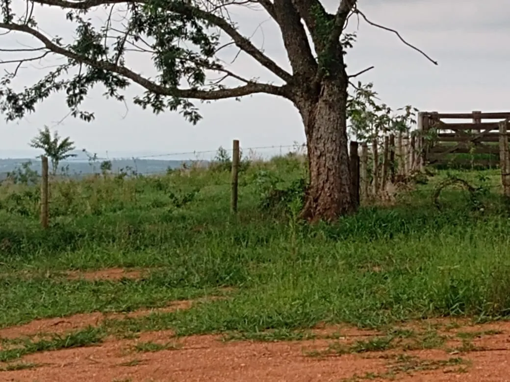 Fazenda à venda de 29 ha em Angatuba, SP, Brasil