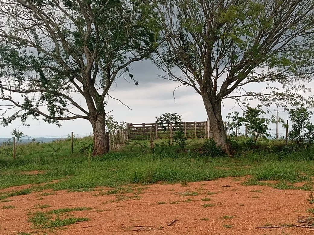 Fazenda à venda de 29 ha em Angatuba, SP, Brasil