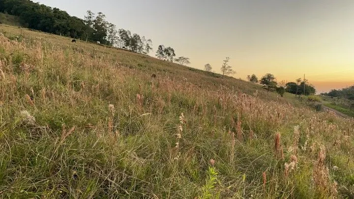 Country home for sale of 1 acres in Rolante, RS, Brazil