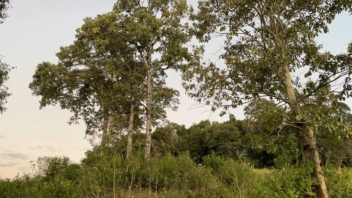 Country home for sale of 1 acres in Rolante, RS, Brazil