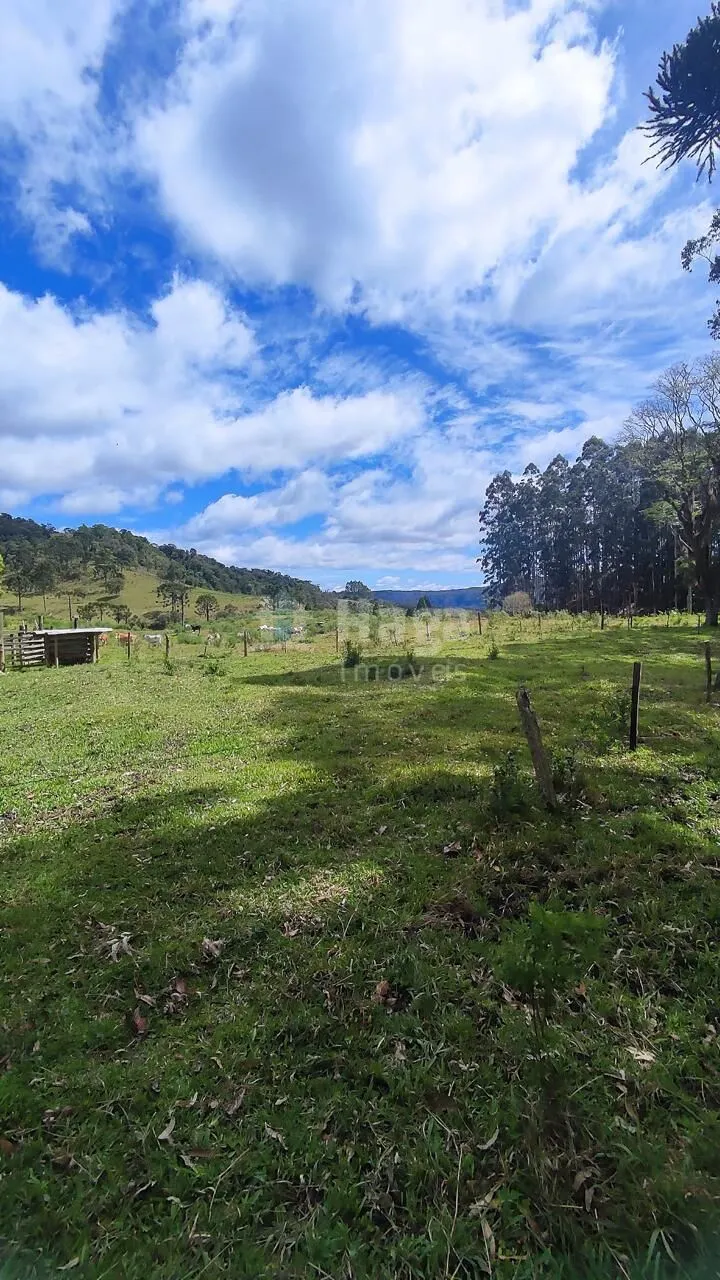 Farm for sale of 185 acres in Major Gercino, SC, Brazil