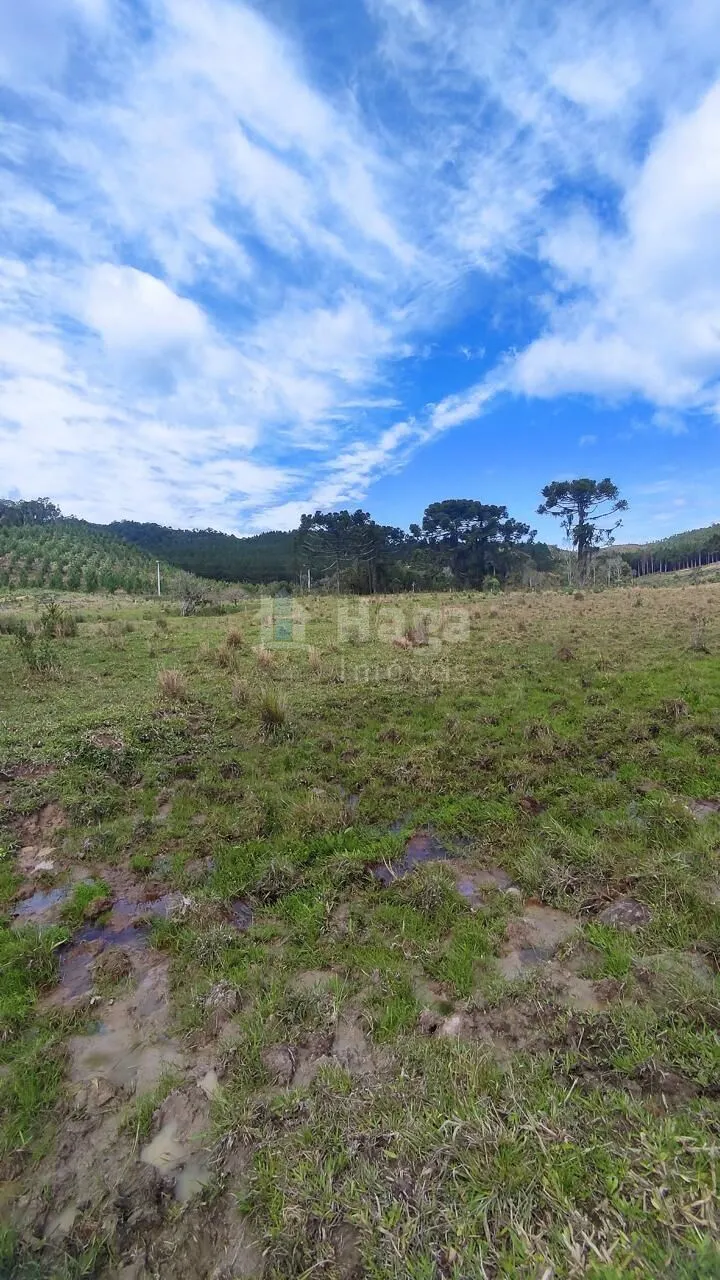 Farm for sale of 185 acres in Major Gercino, SC, Brazil