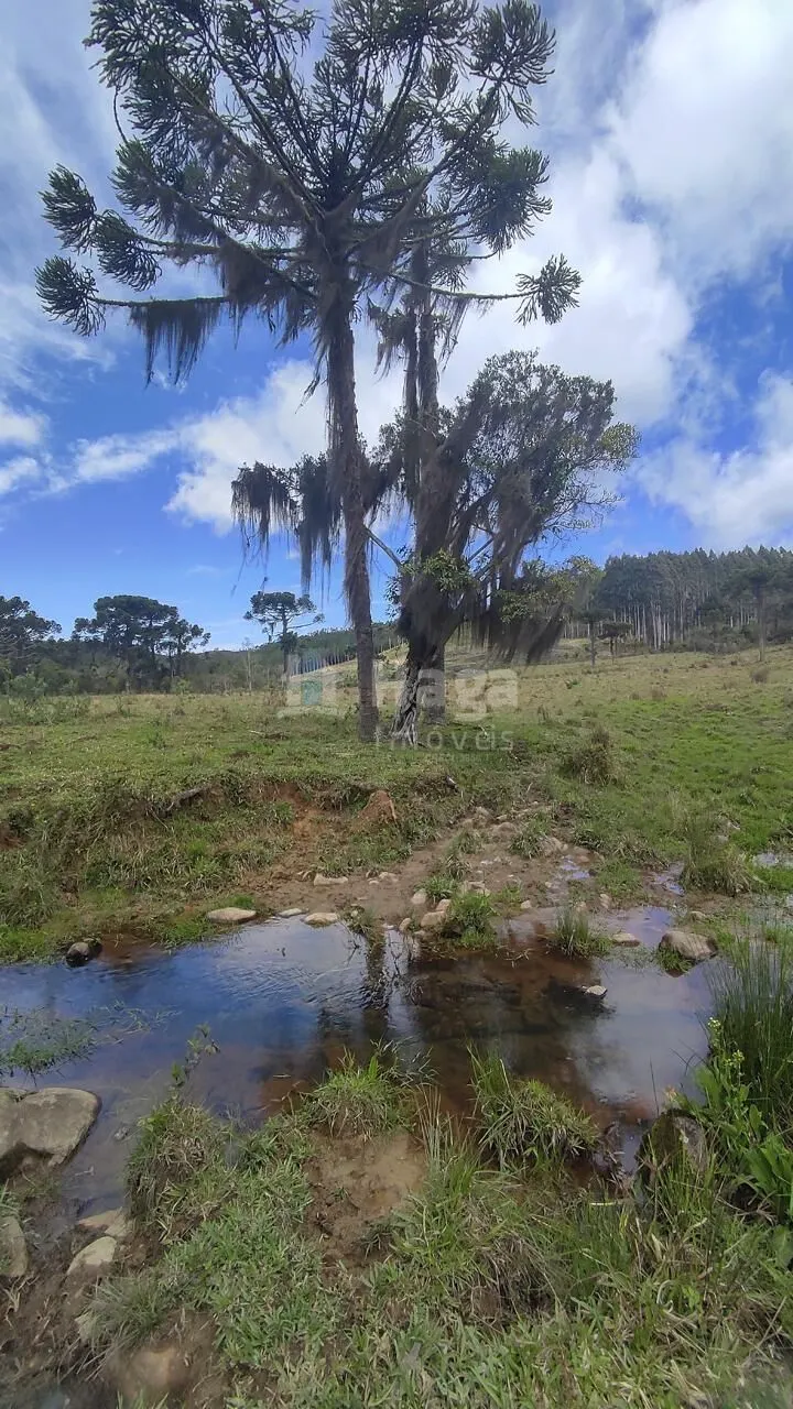 Farm for sale of 185 acres in Major Gercino, SC, Brazil